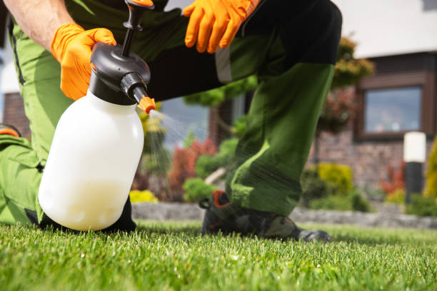 Best Wildlife Control Services  in Hickman, KY