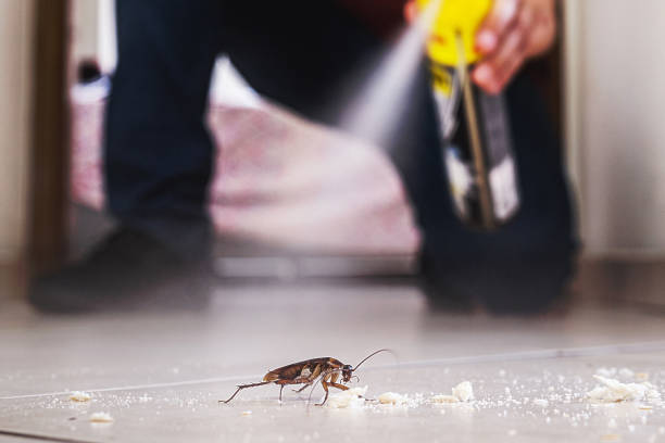 Best Mosquito Control Services  in Hickman, KY
